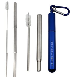Metal Silver Colored Straw Blue Image